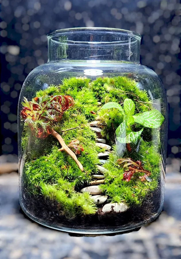 A Terra terrarium living on a home shelf