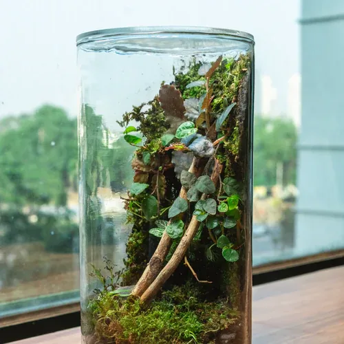 A terrarium jar styled on a side table