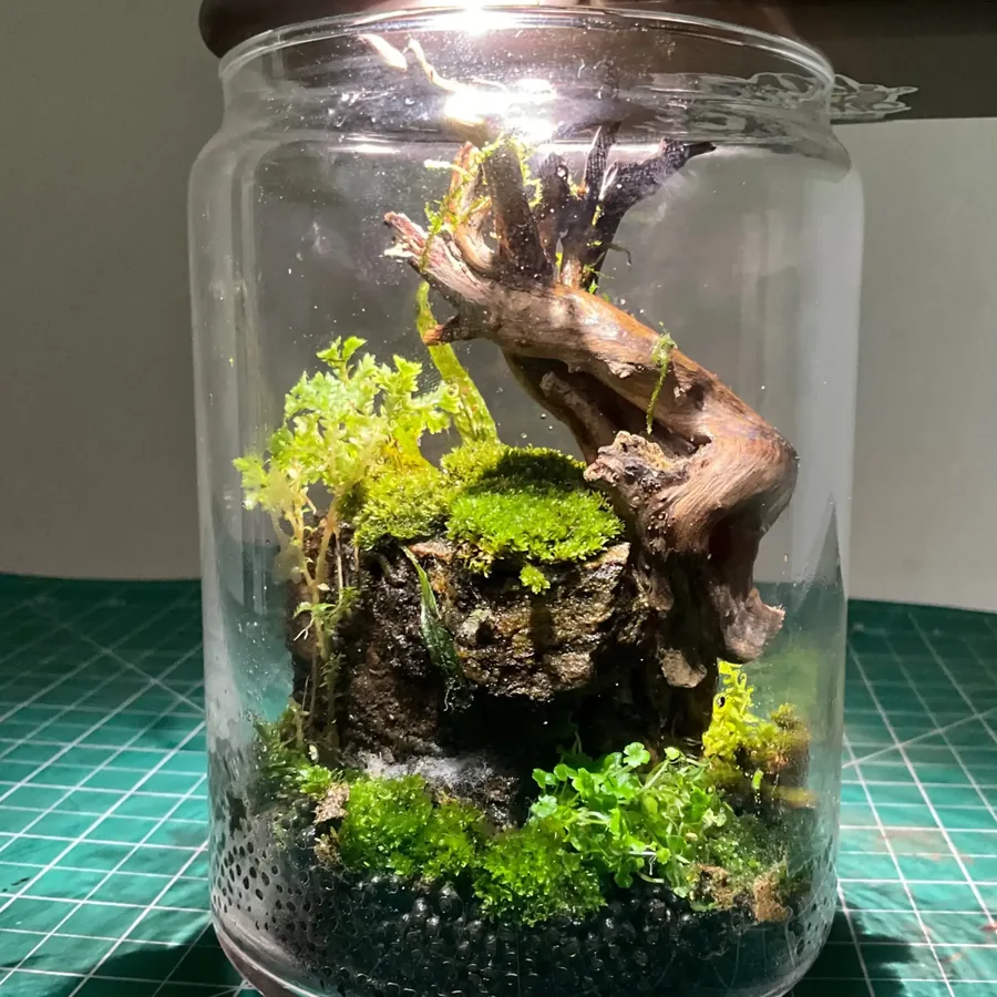 A terrarium being set up by hand